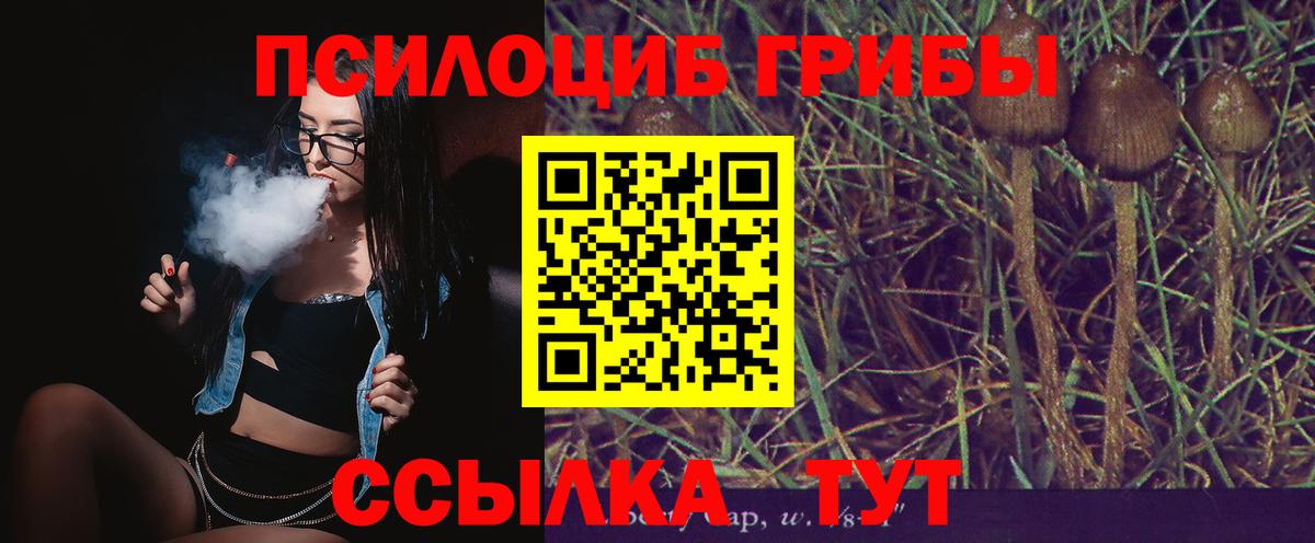 Псилоцибиновые грибы мицелий  Псилоцибиновые грибы Psilocybine cubensis  Йошкар-Ола  Вход с VPN 