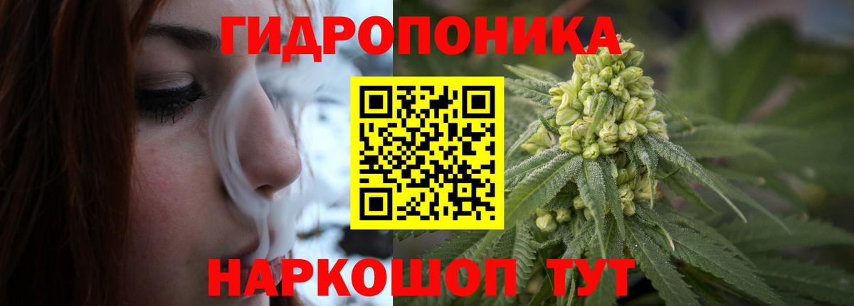 Шишки марихуана Ganja Йошкар-Ола
